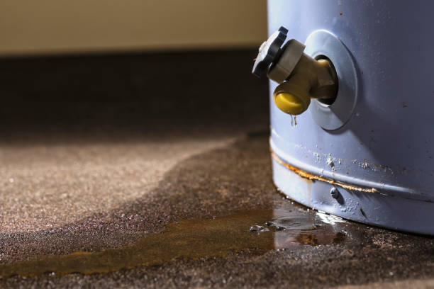  Holly Hill, FL Water damage restoration Pros