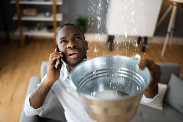 Water damage restoration experts in Holly Hill, FL