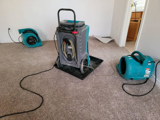 Best Water damage contractors near me  in Holly Hill, FL