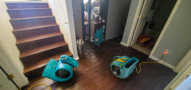 Best Fire Damage Restoration  in Holly Hill, FL