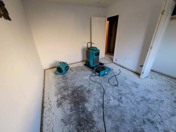 Best Water damage restoration near me  in Holly Hill, FL