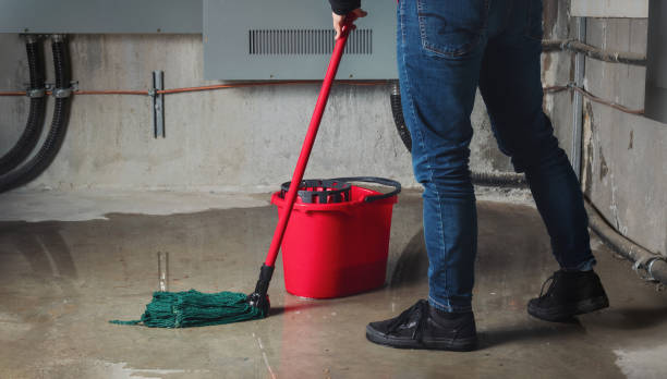 Best Flood restoration services  in Holly Hill, FL