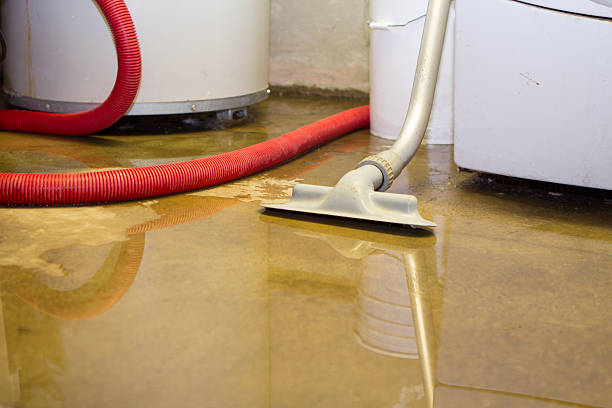 Best Ceiling water damage repair  in Holly Hill, FL