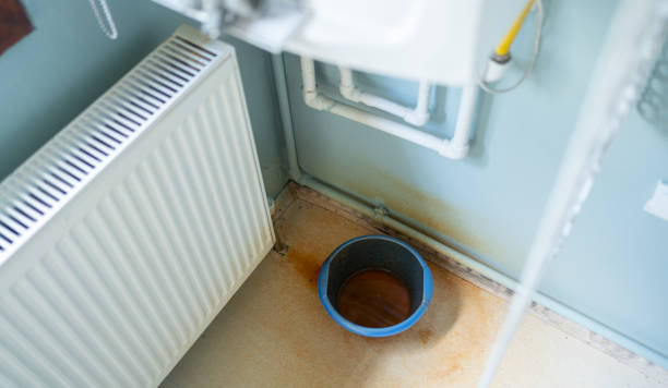 Best Local water damage restoration  in Holly Hill, FL