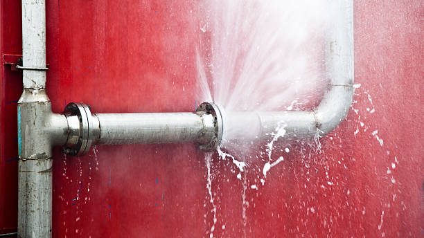 Best Basement water damage restoration  in Holly Hill, FL